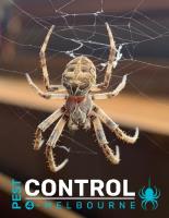 Spider Control Melbourne image 5